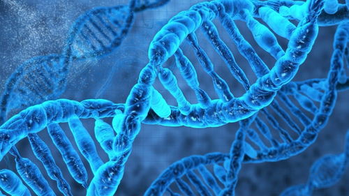 美團投資合成生物平臺恩和生物,首次布局生物科技領域
