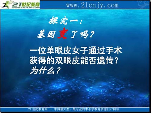 2010生物高考復(fù)習(xí) 生物科技 專題系列課件06 基因突變和基因重組 下載 生物