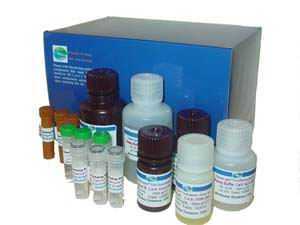 T0103-DL-蘋果酸鈣/DL-2-羥基丁二酸鈣/Calcium DL-malate-上海博耀生物科技